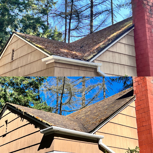 Roof Cleaning in Seattle, WA